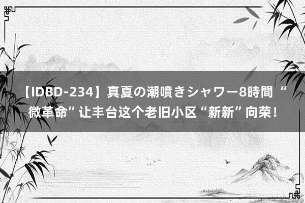 【IDBD-234】真夏の潮噴きシャワー8時間 “微革命”让丰台这个老旧小区“新新”向荣！