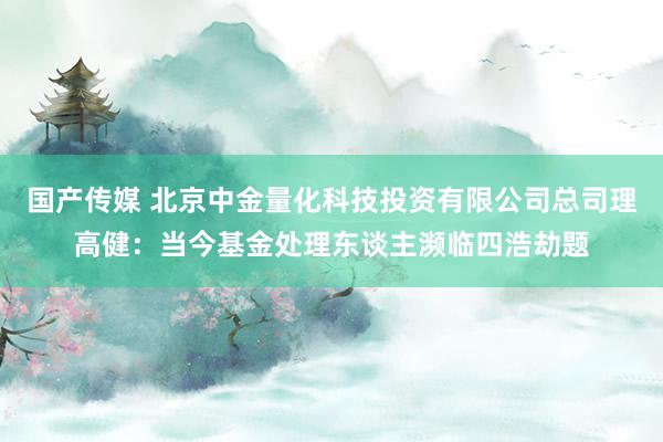 国产传媒 北京中金量化科技投资有限公司总司理高健：当今基金处理东谈主濒临四浩劫题