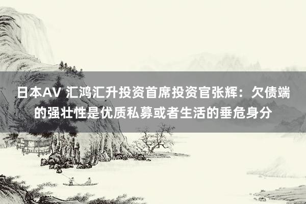 日本AV 汇鸿汇升投资首席投资官张辉：欠债端的强壮性是优质私募或者生活的垂危身分