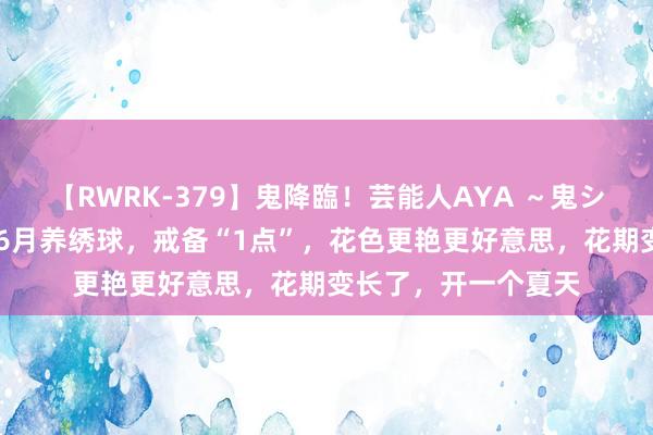 【RWRK-379】鬼降臨！芸能人AYA ～鬼シリーズ全制覇！～ 6月养绣球，戒备“1点”，花色更艳更好意思，花期变长了，开一个夏天