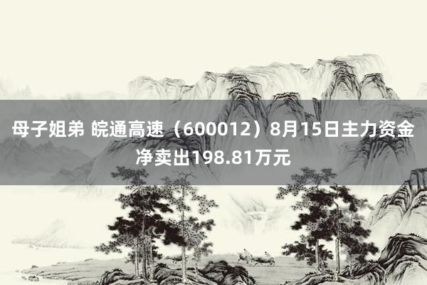 母子姐弟 皖通高速（600012）8月15日主力资金净卖出198.81万元