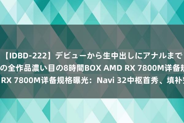 【IDBD-222】デビューから生中出しにアナルまで！最強の芸能人AYAの全作品濃い目の8時間BOX AMD RX 7800M详备规格曝光：Navi 32中枢首秀、填补空缺