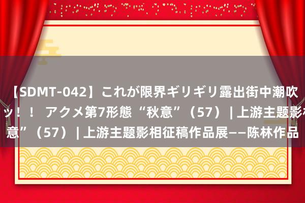 【SDMT-042】これが限界ギリギリ露出街中潮吹き アクメ自転車がイクッ！！ アクメ第7形態 “秋意”（57） | 上游主题影相征稿作品展——陈林作品