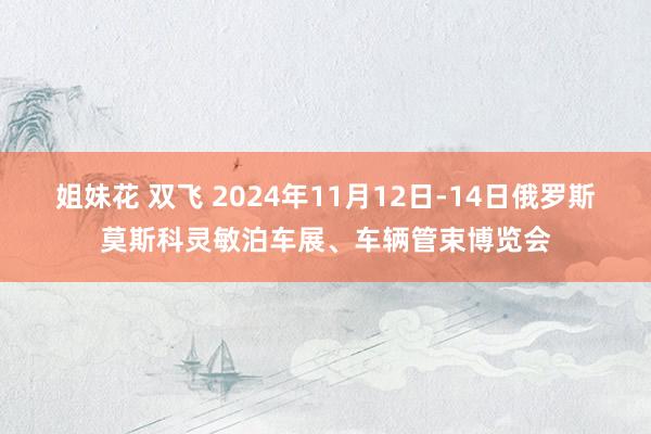 姐妹花 双飞 2024年11月12日-14日俄罗斯莫斯科灵敏泊车展、车辆管束博览会