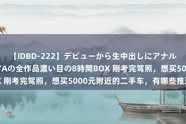 【IDBD-222】デビューから生中出しにアナルまで！最強の芸能人AYAの全作品濃い目の8時間BOX 刚考完驾照，想买5000元附近的二手车，有哪些推选？