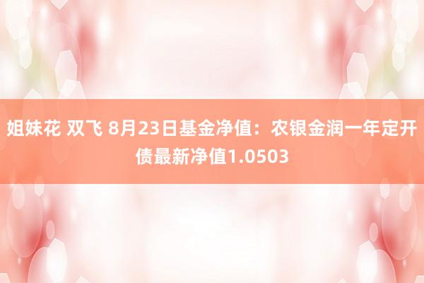 姐妹花 双飞 8月23日基金净值：农银金润一年定开债最新净值1.0503