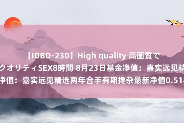 【IDBD-230】High quality 高画質で魅せます！究極のIP女優ハイクオリティSEX8時間 8月23日基金净值：嘉实远见精选两年合手有期搀杂最新净值0.5181，涨0.1%