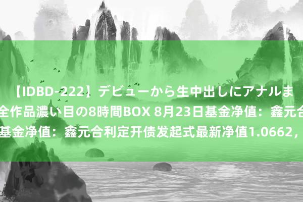 【IDBD-222】デビューから生中出しにアナルまで！最強の芸能人AYAの全作品濃い目の8時間BOX 8月23日基金净值：鑫元合利定开债发起式最新净值1.0662，跌0.04%