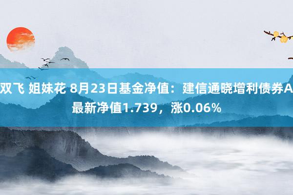 双飞 姐妹花 8月23日基金净值：建信通晓增利债券A最新净值1.739，涨0.06%